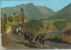 Desalpe En Gruyère, Crésuz Et Le Lac De Montsalvens - Crésuz