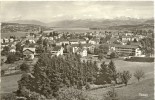 Thalwil - Dorf Gegen Die Alpen           Ca. 1950 - Dorf