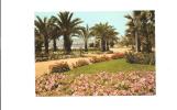 CP, 06, Cannes, Une Partie Des Jardins Fleuris De La Croisette, écrite - Cannes