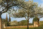 SAINTE FAMILLE DE LA DELIVRANDE (Calvados) - Les Clos - 2 Scans - La Delivrande