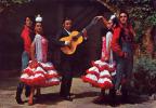 Ballet Espagnol "Los Flamencos" - Danse