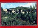 - VIC LE COMTE -  Panorama Sur Le Puy Des Chaumes - Vic Le Comte