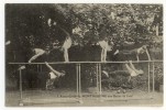 PARIS  - 9 ème  Arr . Avant Garde De Montmartre. Gymnastique Aux Barres De Fond. - Gymnastique