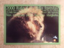 LION Carte Postale - Lions
