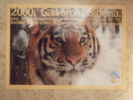 Tiger Carte Postale - Tijgers