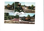 B48149 Nunspeet Horses With Carriage Chevaux Avec Charets Multiviews Used Good Shape - Nunspeet