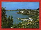 * SIGEAN-Vue Générale Sur L´Etang-1987(Jeu TOURNEZ MANEGE Au Dos) - Sigean