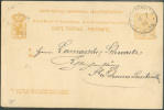 EP Carte 10 Centimes  Armoirie Obl. Sc LUXEMBOURG  Du 8-07-1880 Vers Schann-Saarbrucken.  7543 - Postwaardestukken