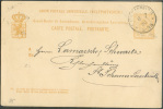 EP Carte 10 Centimes  Armoirie Obl. Sc LUXEMBOURG  Du 8-07-1880 Vers Schann-Saarbrucken.  7543 - Interi Postali