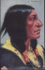 CPA - (Etats Unis) Indien - Chief Spoted Tail - Indiani Dell'America Del Nord