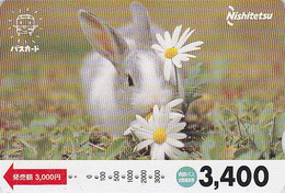 Carte Prépayée JAPON - ANIMAL - LAPIN & Fleur Marguerite 1100 - RABBIT JAPAN Prepaid Bus Card - Nishi - 70 - Lapins
