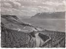 3029 - Vignoble De Lavaux Et Le Lac Léman - Grandvaux