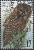 BELGIQUE Poste 2807 (o) CHOUETTE HIBOU EULE OWL UIL 1 - Owls