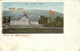 Schwellbrunn - Gruss Aus Bad Und Pension Hirschen            Ca. 1900 - Schwellbrunn