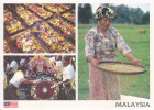 Postcard Malaysia Market Drum Culture Rice Agriculture - Malaysia