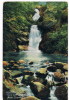 Conway Waterfall   Fairy  Glen Dwygyfylchi - Caernarvonshire