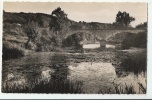 79 - ARGENTON--CHATEAU - PONT DE GRIFFERUS - CPSM DENTELEE AAP 5.360 - Argenton Chateau