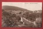 P0025 Granges, Bord De La Lembaz.Sepia.Circulé. Perrochet. Trou épingle Au Sommet De La Carte. - Granges