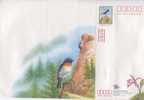 Taiwan 1999 Taiwan Pre-stamp Domestic Letter Sheet Bird Forest Rock Monkey Orchid Flower Postal Stationary - Cartas & Documentos