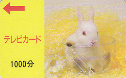 RARE Carte Japon - ANIMAL - LAPIN Albinos - RABBIT Japan TV Card - KANINCHEN - CONIGLIO - CONEJO - 160 - Conejos