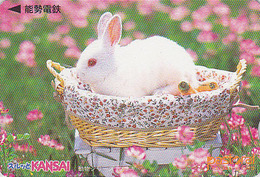 Carte Japon - ANIMAL - LAPIN Albinos Dans Un Panier - RABBIT Japan Prepaid Lagare Card - KANINCHEN - CONEJO - 164 - Conigli