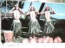 U.S.A - HAWAI Hula Maidens, Waikiki In The Shadow Of Diamond Head, On Nthe Grounds Of The Hale N1970 DP5809 - Honolulu