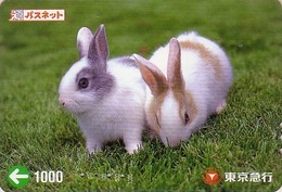 Carte Prépayée Japon - Animal - LAPIN - RABBIT - KANINCHEN - KONIJN - CONEJO Japan Prepaid Card - 153 - Kaninchen