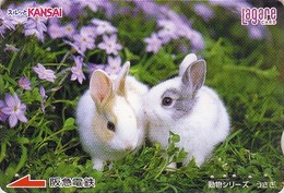 Carte JAPON - ANIMAL - LAPIN & Fleurs Violettes - RABBIT - KANINCHEN - KONIJN - CONEJO JAPAN Lagare Card - 223 - Kaninchen