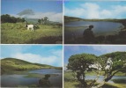 CPM Du PORTUGAL - ACORES - La Montagne Entre Les Lagunes - édit DA FOTO JOVIAL - Açores
