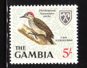 Gambia 1966 Birds 5sh MNH - Gambie (1965-...)