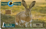 TARJETA DE ESPAÑA DE UNA LIEBRE FAUNA IBERICA DEL 10/00 Y TIRADA 8000 (RABBIT) - Conejos