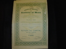 Action De Capital " Société Des Aciéries De Mons " 1923 Bon état,avec Tous Les Coupons - Industrial