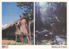 Postcard  Malaysia Orang Asli Indigenous People Blowpipe Hunting Ethnic - Non Classificati