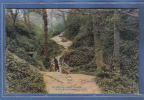 Carte Postale Angleterre Hastings  Ecclesbourne Glen  Trés Beau Plan - Hastings