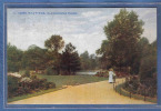 Carte Postale Angleterre Hastings  Alexandra Park  Trés Beau Plan - Hastings