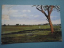 20896 POSTCARD:  BRAZIL: Golf Links - Beira.  (Message On Card Dated 5 July 1916.) - Sin Clasificación
