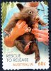 Australia 2010 Wildlife Caring - Rescue To Release 60c Wombat Self-adhesive Used - Oblitérés