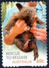 Australia 2010 Wildlife Caring - Rescue To Release 60c Wombat Self-adhesive Used - Used Stamps