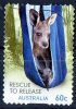 Australia 2010 Wildlife Caring - Rescue To Release 60c Joey Self-adhesive Used - Used Stamps