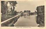 Yonne - Ref A183- Gurgy - Les Bords De L Yonne  - Carte Bon Etat - - Gurgy