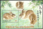 (089) Tokelau  New Year Rabbit Sheet / Bf / Bloc Lapin / Kaninchen   ** / Mnh  Michel BL 16 - Tokelau