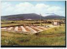 VASSIEUX EN VERCORS CIMETIERE  NATONAL. COLORISEE  REF 5515 - Cimetières Militaires