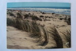 Dunes - Plages - Mer - Soleil - Plaisirs De L'été - Couleurs Et Lumière De France - Carte Toilée - Contre La Lumière