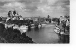 Paris La Cité 1960 - La Seine Et Ses Bords