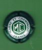 CAPSULE CHAMPAGNE  MOET & CHANDON  (verte & Blanche) - Moet Et Chandon