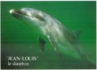 Cleden Cap-Sizun La Pointe Du Van Anse De Vorlenn  "Jean-Louis Le Dauphin " Carte Très Bon état - Dolphins
