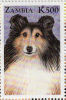 Zm9902 Zambia 1999, Cats And Dogs, K500 - Shetland Sheepdog - Zambie (1965-...)