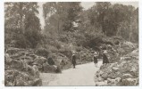 The Rock Gardens, Kew Gardens - Surrey