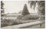 Palm House And Pond, Kew Gardens - Surrey