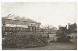 The Temperate House, Or Winter Gardens, Kew Gardens - Surrey